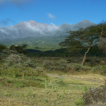 Mt. Meru from Arusha NP