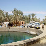 Siwa