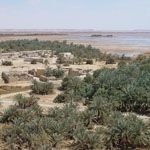 Siwa