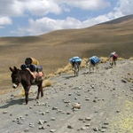 A caravan A caravan