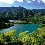 Fiords: blue water in green forests Fiords: blue water in green forests