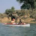 Game viewing by boat