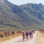 A group of bikers in the green