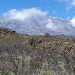 Kibo peak with clouds