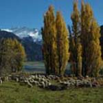 Matukituki Valley Matukituki Valley