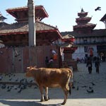 Patan Patan