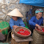 At a market